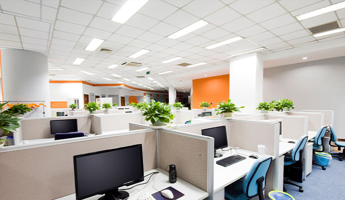Fresh environment office room